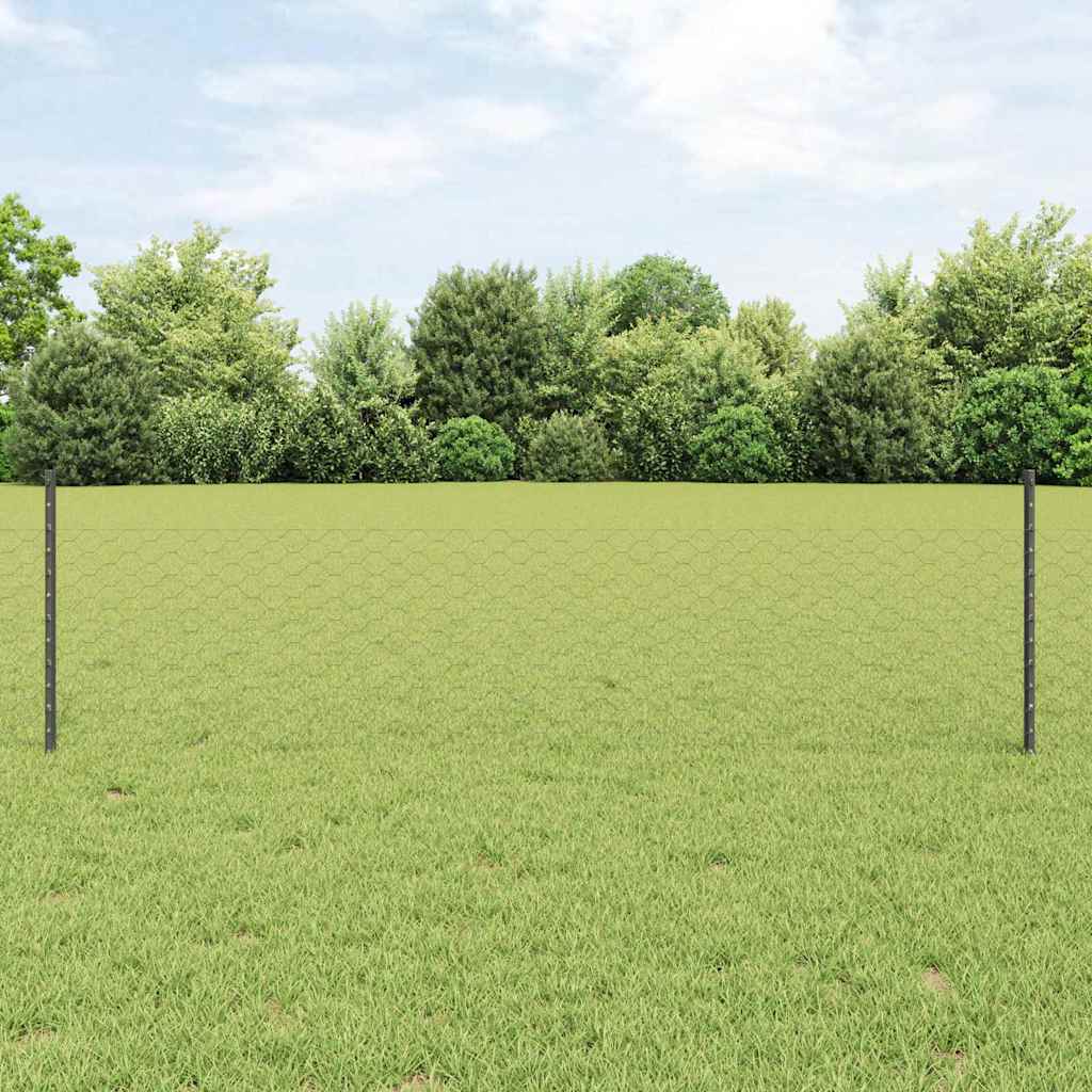 Vidaxl Clôture Hexagonale Avec Poteau 100 X 0,5 M Gris Maille