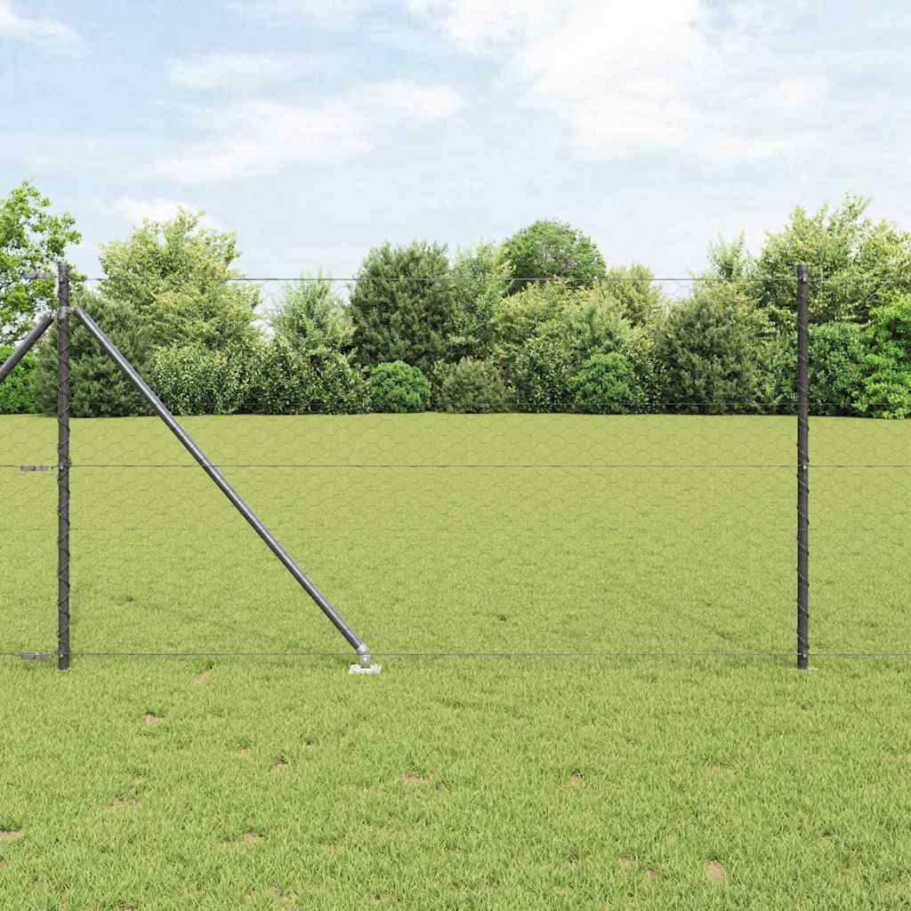 Vidaxl Clôture Hexagonale Avec Poteau 25 X 1 M Acier Recouvert De Pvc