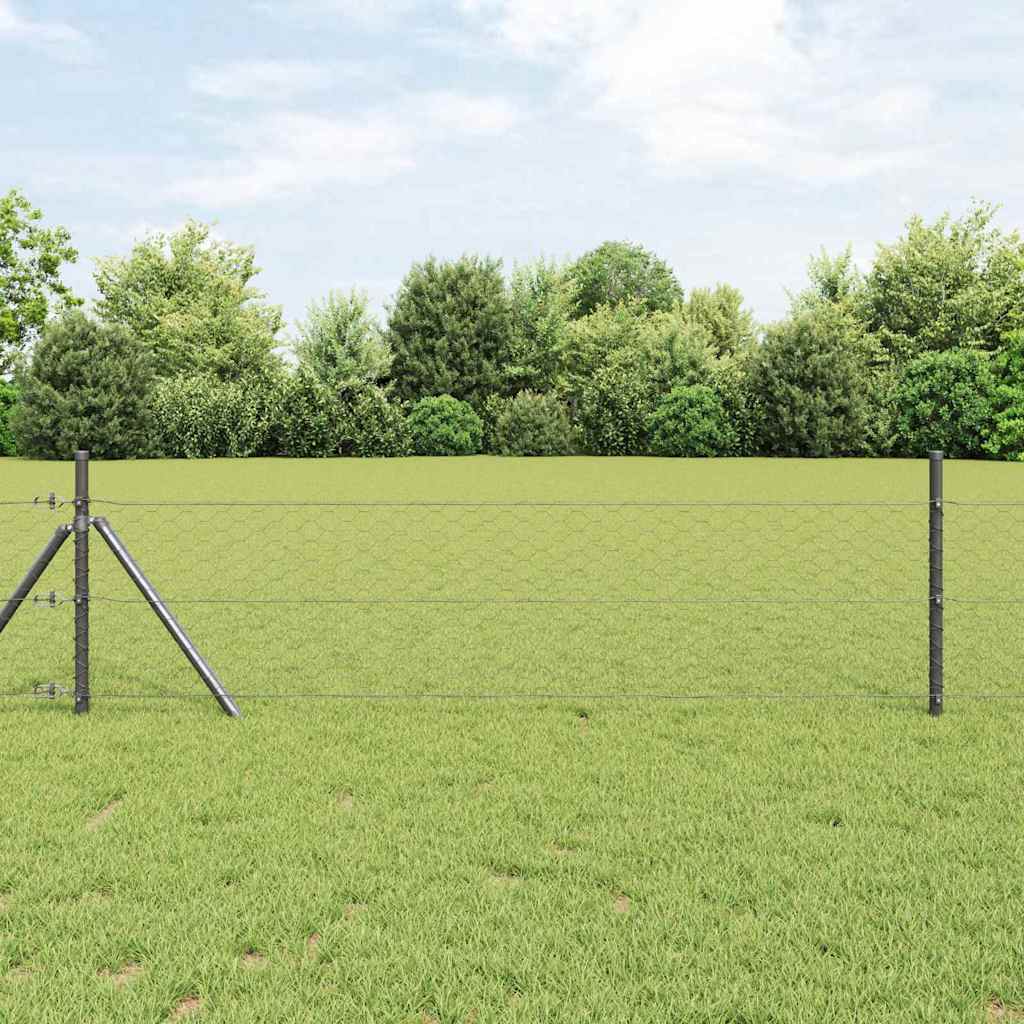 Vidaxl Fixation Au Sol Hexagonale 25 X 0,6 M Acier Recouvert De Pvc