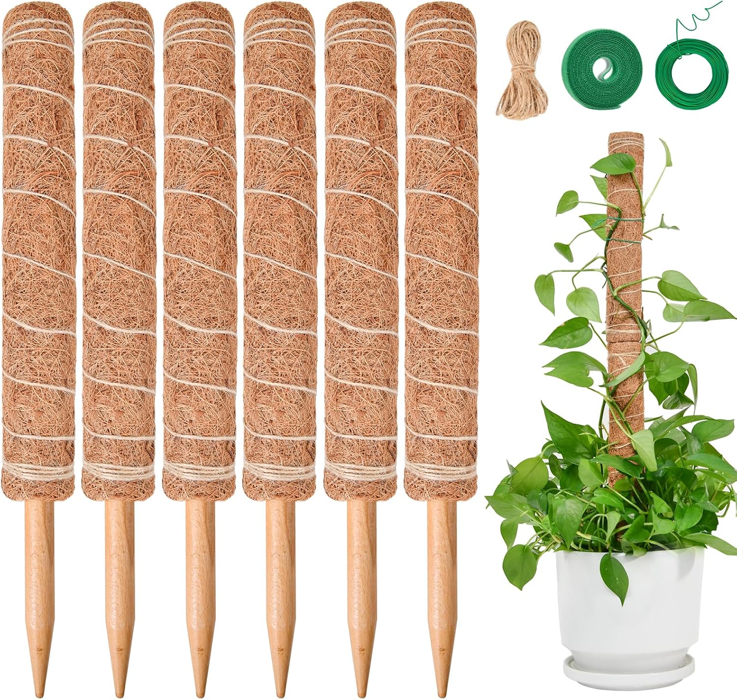 Lot De 6 Tuteurs En Mousse De 40 Cm Pour Monstera, Supports Extensibles Pour Plantes Monstera, Tuteurs En Mousse De Coco Pour Plantes Grimpantes De Jardin Et Plantes D'Intérieur