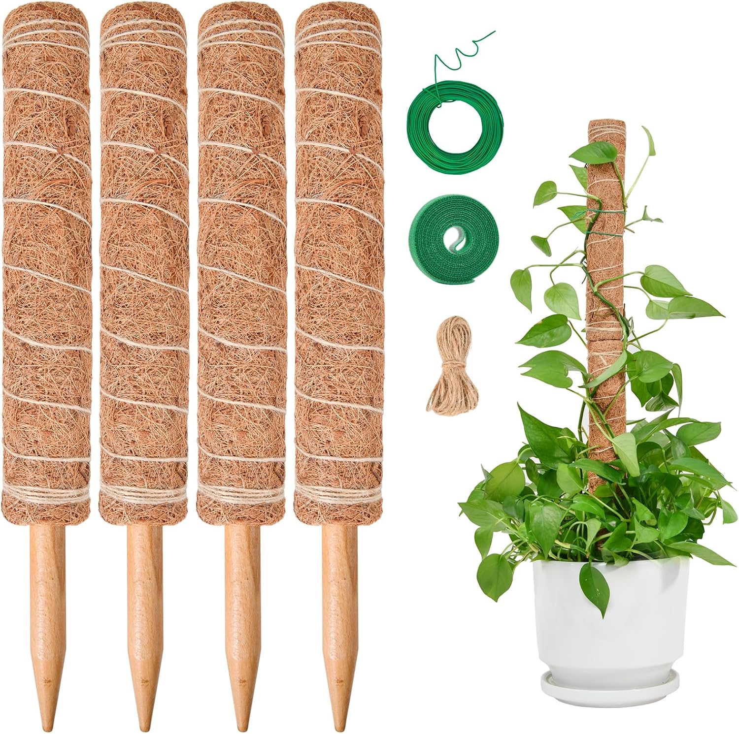 Tuteur En Mousse De 40 Cm Pour Monstera, Support Extensible Pour Plantes Monstera, Tuteur En Cocotier Pour Plantes Grimpantes De Jardin Et Plantes D'Intérieur