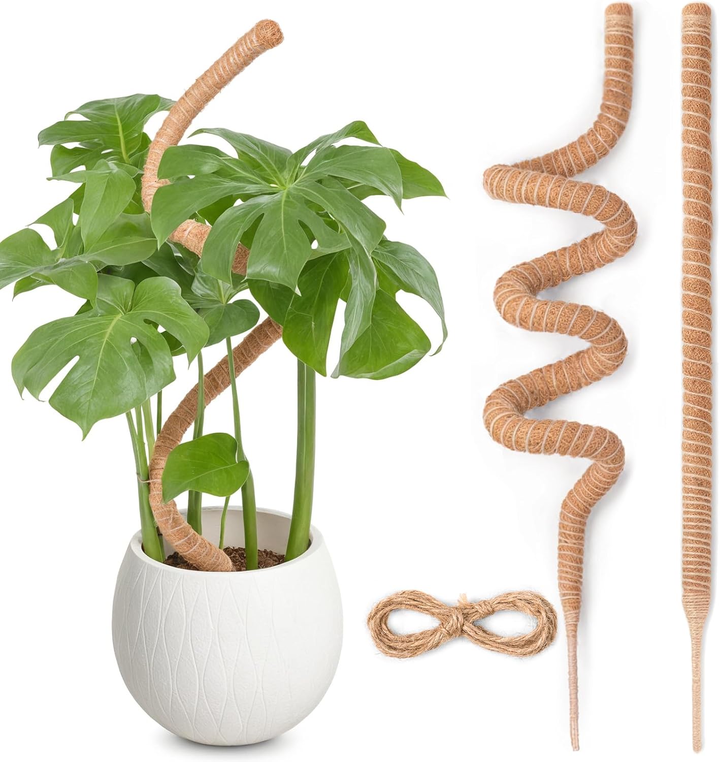 Tuteur En Mousse Pour Monstera De 160 Cm, Treillis Flexible Avec Accessoires Pour Plantes Grimpantes, Tuteur En Fibre De Coco Fait Main Pour Plantes D'Intérieur.