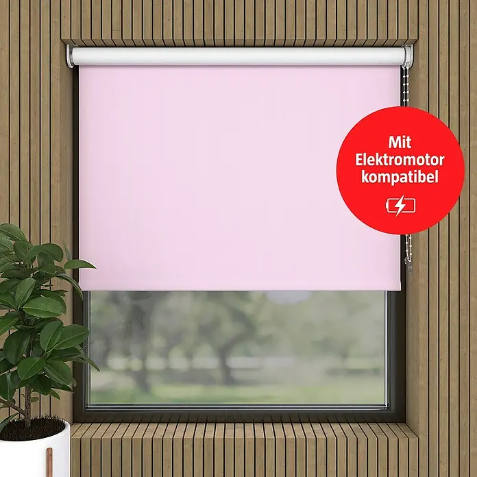 Verdunkelungsrollo (B x H: 75 x 190 cm, Rosa)