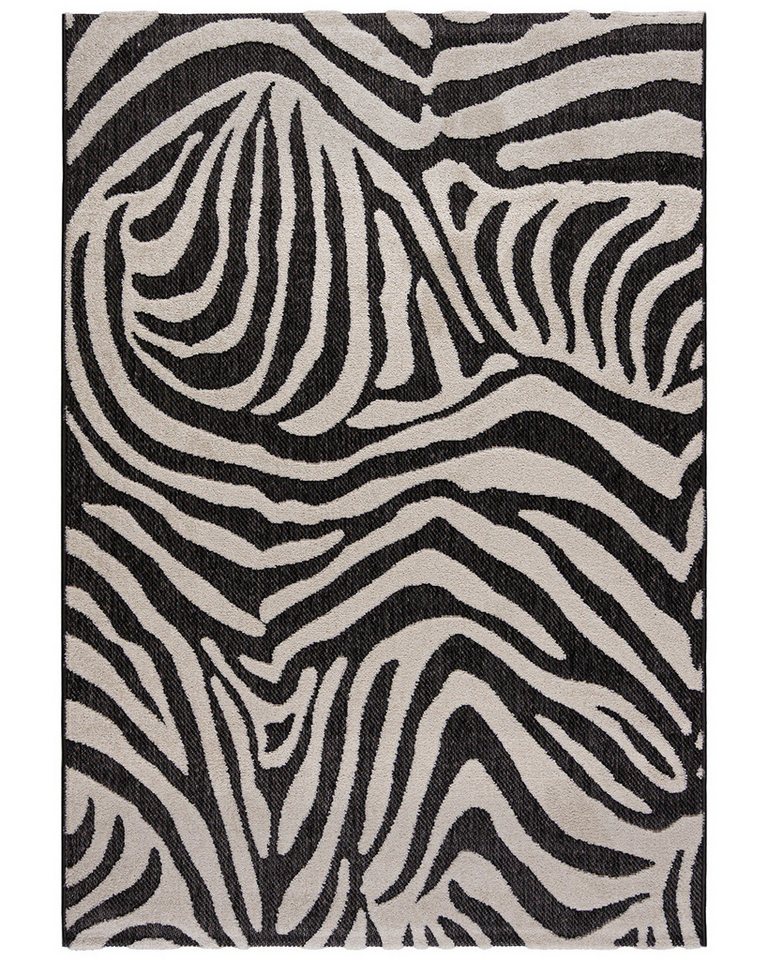 Mazovia Designteppich Tierisch Terrasse, 120 x 170 cm, Wasserdicht