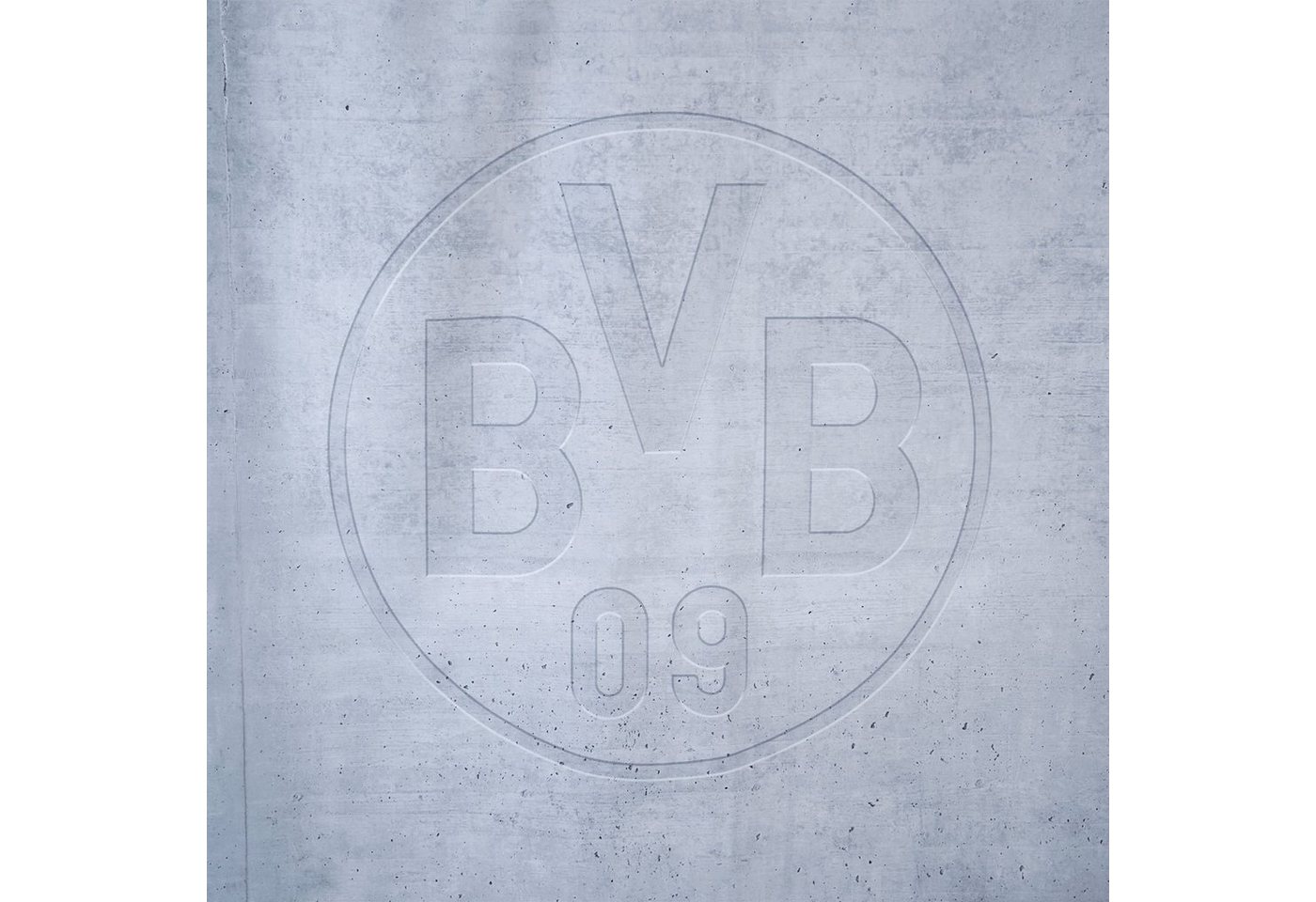 BVB Duschvorhang BVB-Duschvorhang Breite 180 cm (1-tlg) Bild 3