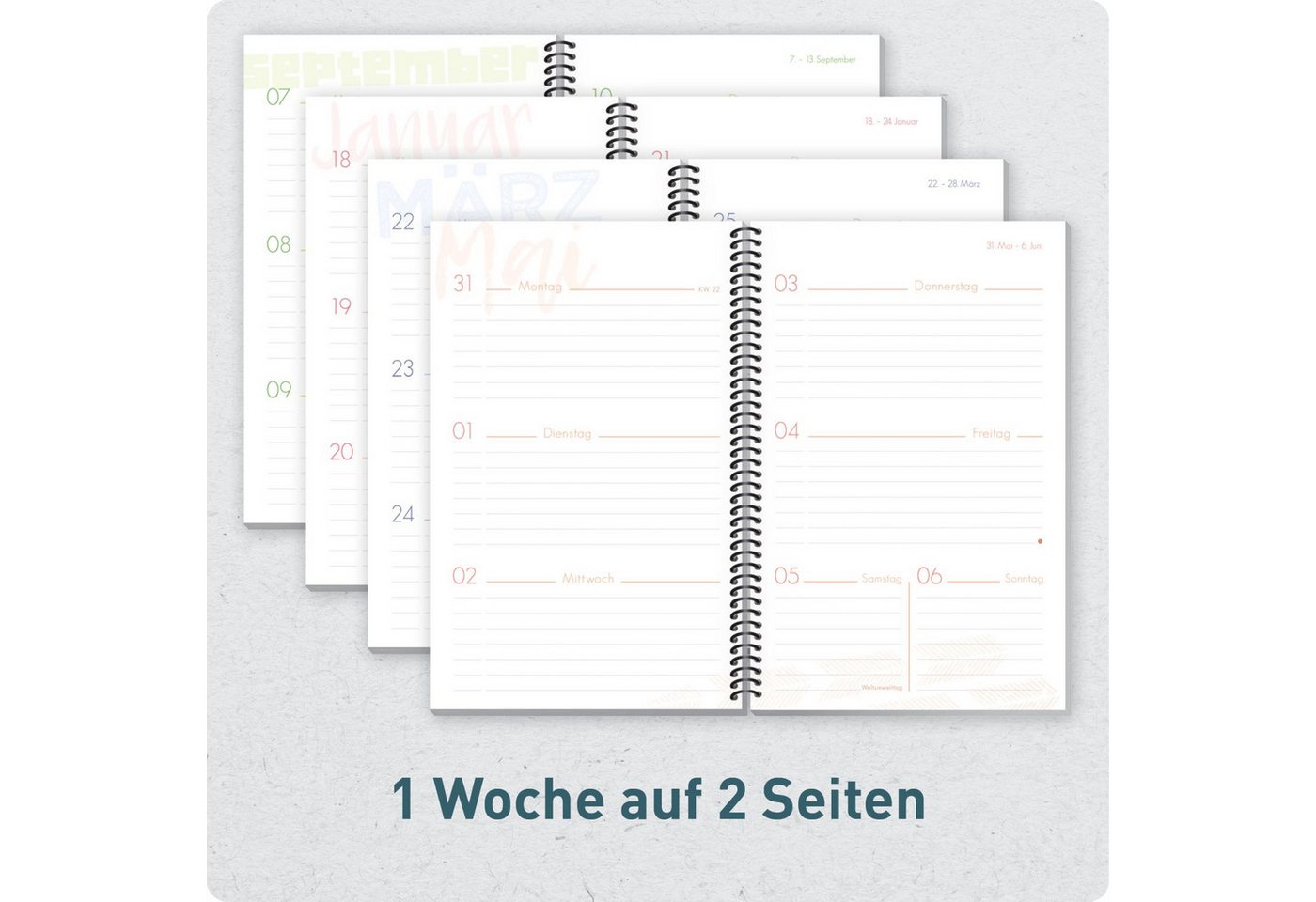 Häfft Schülerkalender Schulstuff Schülertimer mit Spiralbindung 2026/2027 / A5 Bild 2