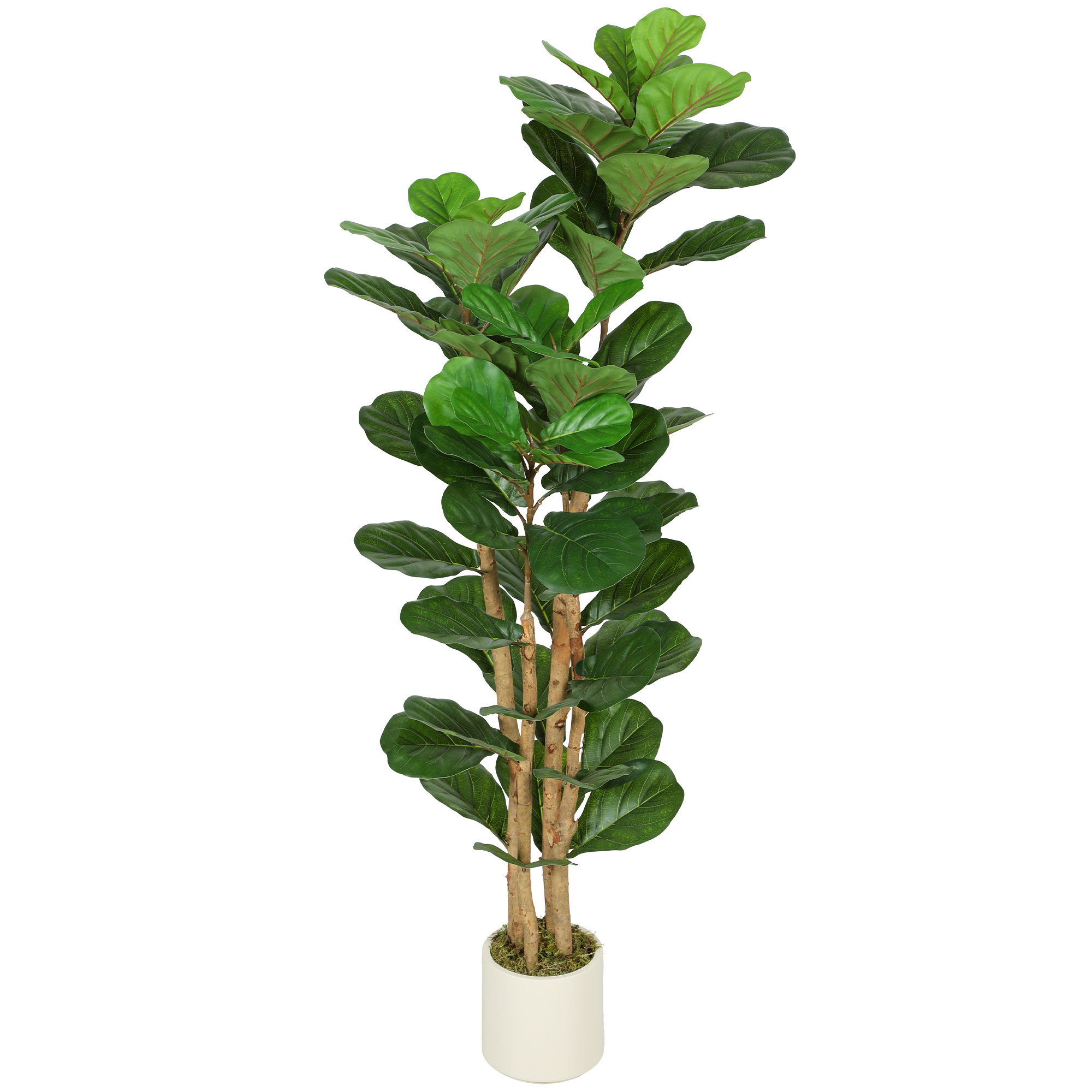 Künstlicher Geigenfeigenbaum, 150 Cm, Zimmerpflanze Mit Kunststofftopf Und Massivholzstamm, Grün