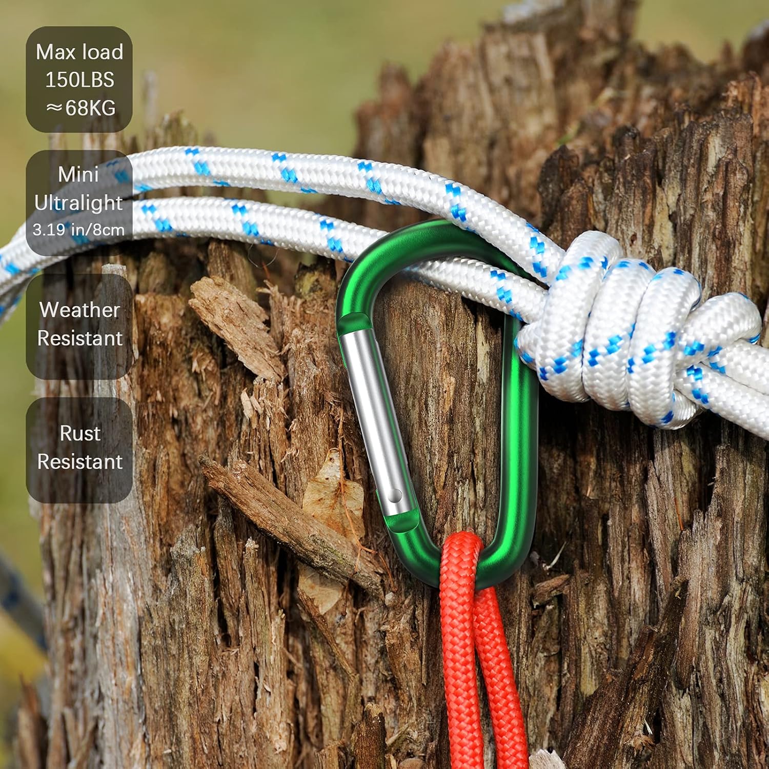 6 Kletterkarabiner, Edelstahl, Maximale Traglast 100 Kg, 50 Mm Federbelasteter Karabinerhalter Für Camping, Wandern Und Outdoor-aktivitäten