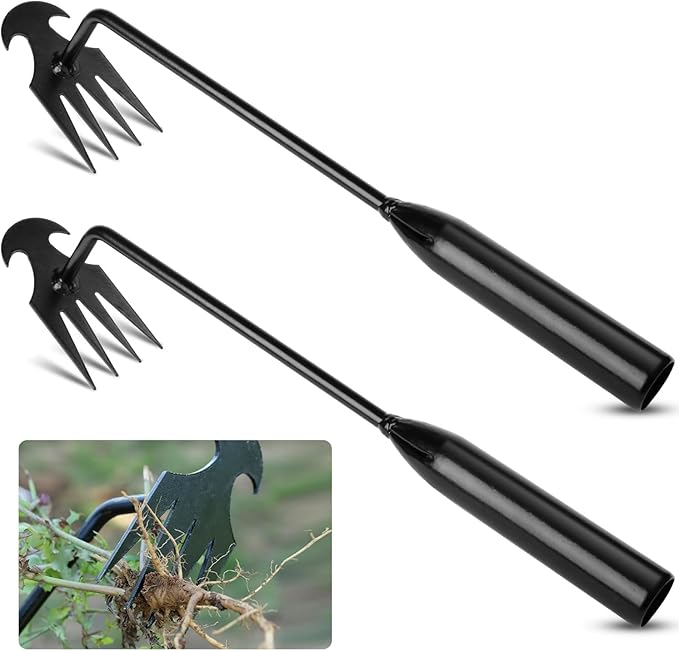 2 Stück 33 Cm Handunkrautstecher, Vierzahn-handunkrautstecher, Gartenunkrautzieher, Unkrautstecher Aus Edelstahl Zum Entfernen Von Unkrautwurzeln