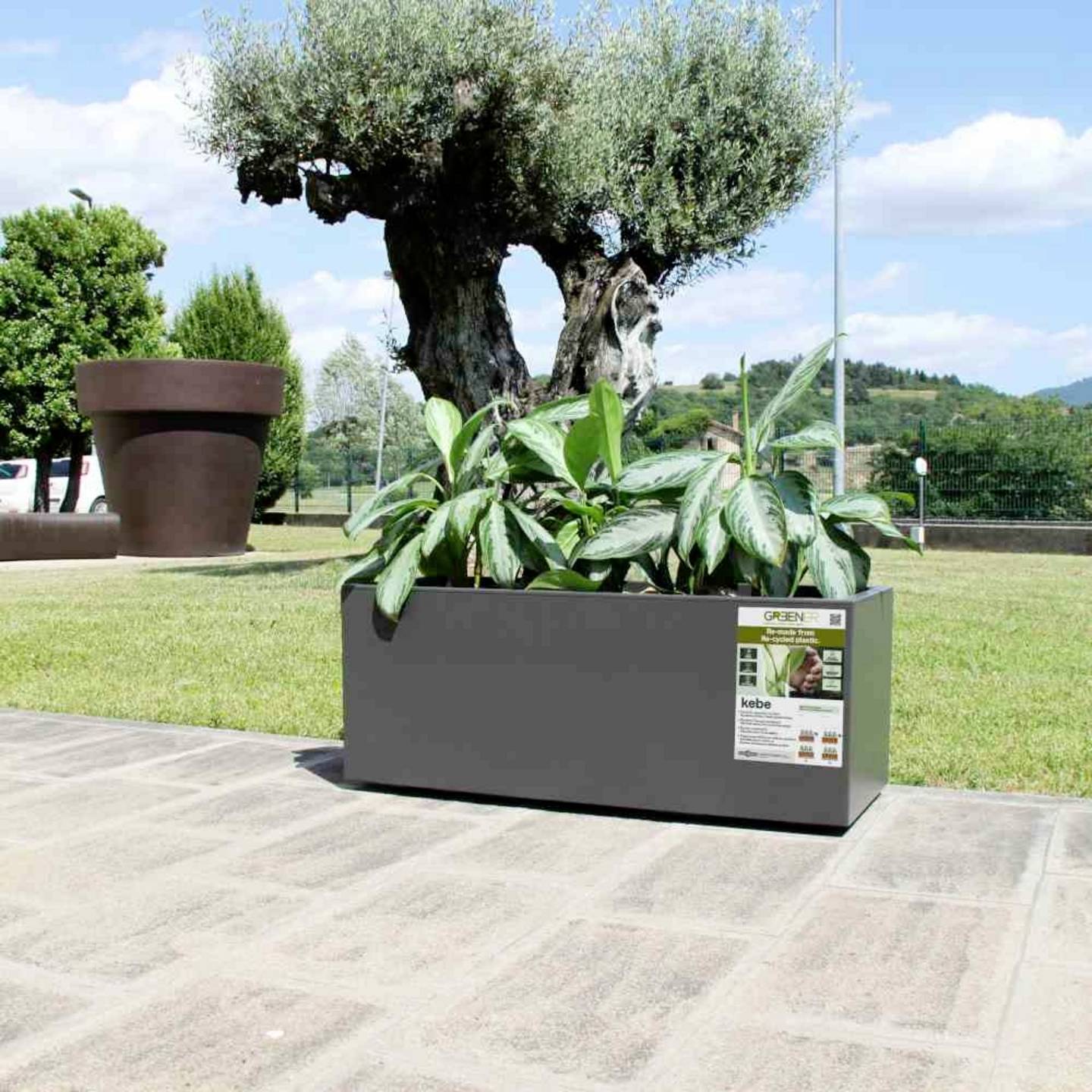 [neuwertig] B-ware Euro3plast Pflanzkasten Hochbeet Kebe 100cm Kunststoff Anthrazit Blumenbeet Beet