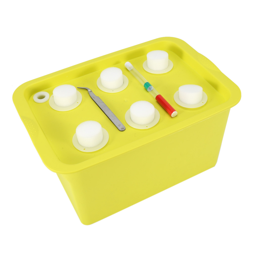 Hydroponisches Pflanzenset Mit 6 Löchern, Blasenanbausystem, Gewächshaus Für Drinnen Und Draußen, Gartenkasten Mit Unterschrank, Grün