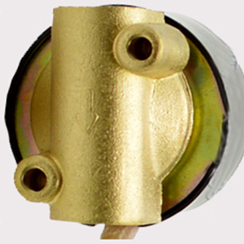 Messing-magnetventil 1/4 Zoll, Normalerweise Geschlossen, 0–0,8 Mpa, 220 V, Für Luft, Wasser, Öl