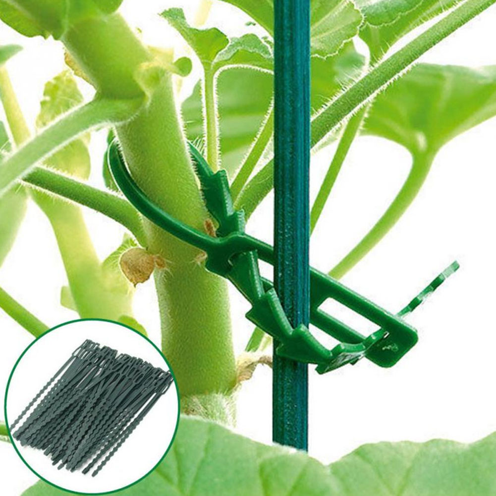 50 Stück Verstellbare Gartenpflanzen-drehbinder, Flexible Kunststoff-gartenklemmen, Pflanzenstützbinder