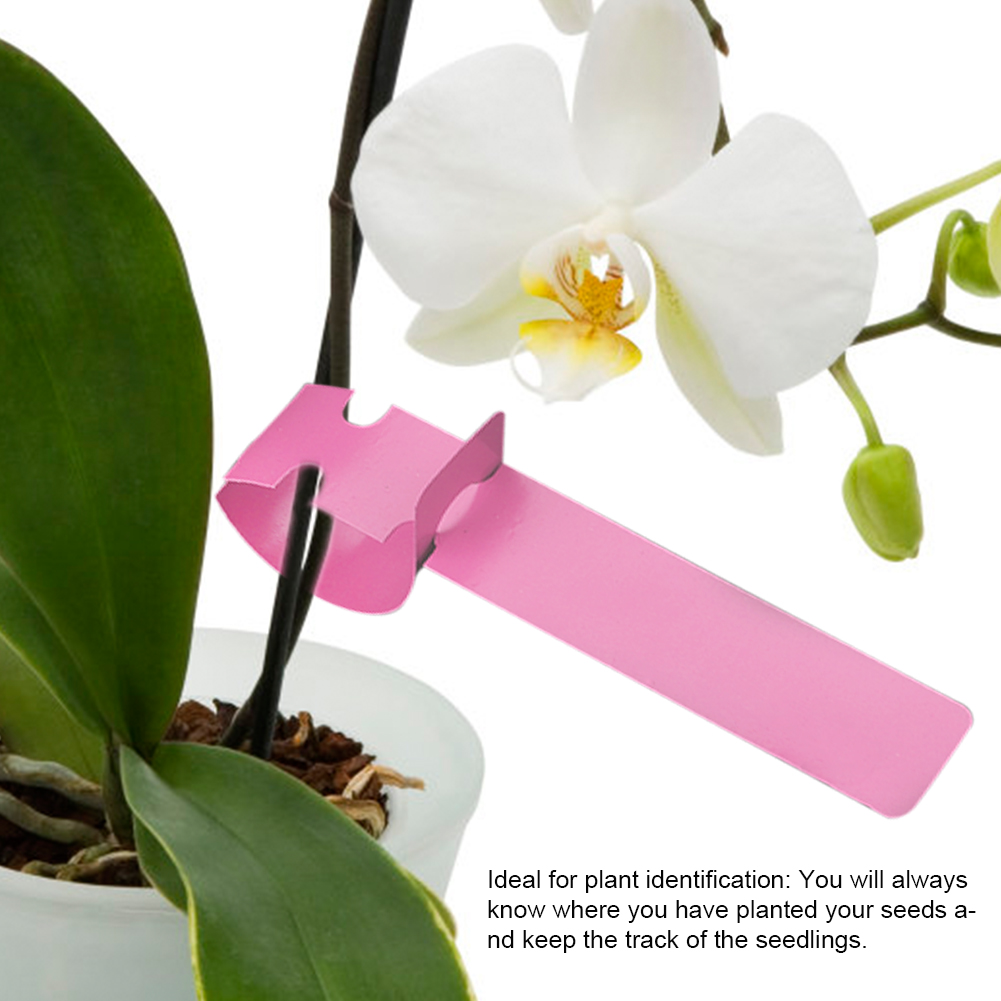 Packung Mit 100 Rosa Kunststoff-gartenetiketten, Dekorativen Pflanzensteckern, Saatgutmarkierungen, Zubehör Für Gemüsegarten Und Blumenbeet