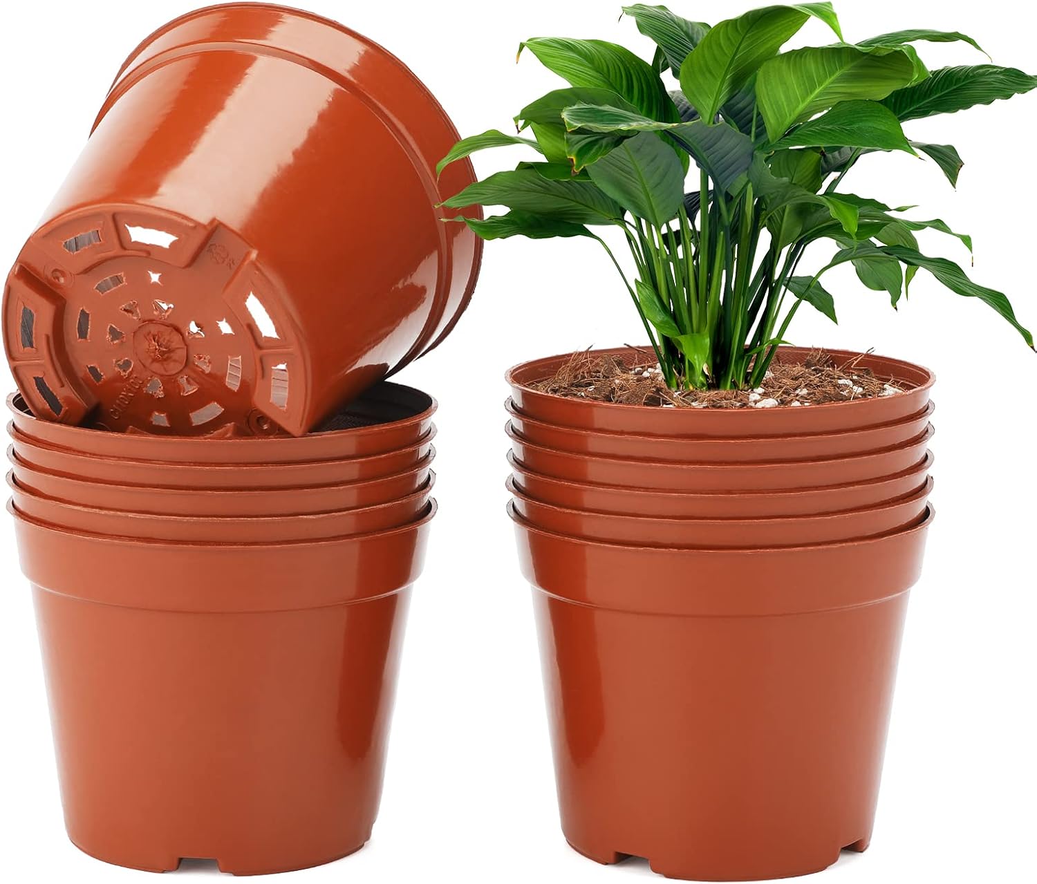 Ineasicer 50er-pack 10-cm-anzuchttöpfe, Kunststoff-blumentöpfe Für Gartenpflanzen, Umtopftöpfe, Tomaten-anzuchttöpfe, Braun