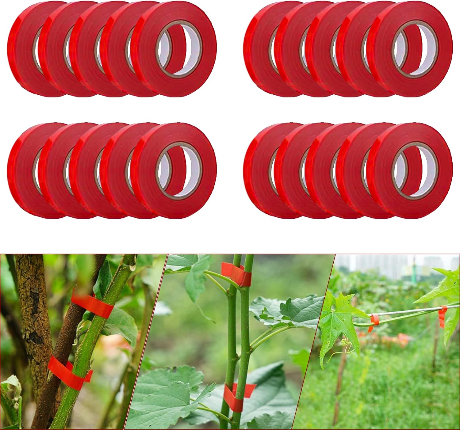 Ineasicer 20 Rollen Pflanzenband, Handstickerei Für Obst, Gemüse, Blumen, Tomaten, Ranken, Gartenwerkzeug Zum Anbinden Von Pflanzen