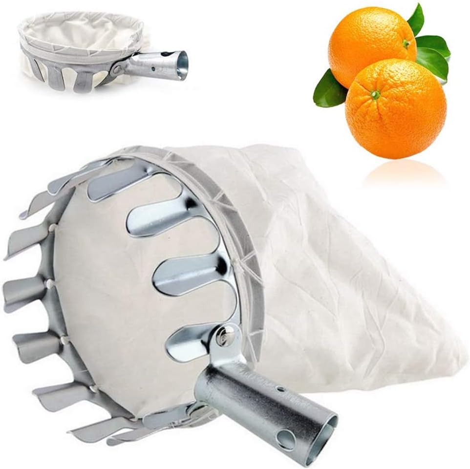 Auslass Des Obstschneiders, 16 Cm Durchmesser, Zum Schneiden Von Obstköpfen