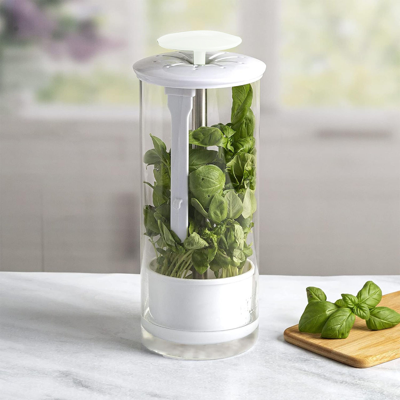 Aufbewahrungsbox Für Aromatische Kräuter – Wasserdichter Behälter Mit Halterung Für Koriander, Petersilie Und Basilikum – Weißes Küchenaccessoire-lsw