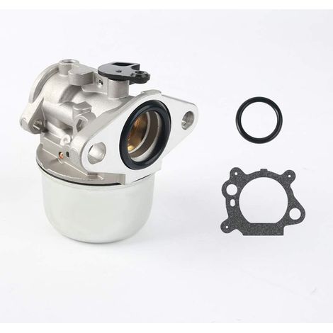 Aiducho Vergaser-reparatursatz, Kompatibel Mit Briggs & Stratton 497586, 498170, 799868, 498254, 497314, 497347, 698444