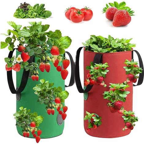 Aiducho Erdbeer-pflanzbeutel, 2 Stück Erdbeer-pflanzbeutel, Garten-pflanzbeutel, Vlies-erdbeer-pflanzbeutel, Erdbeer-pflanzbeutel, Für Erdbeeren, Kräuter, Blumen (3 Gallonen, 20 X 35 Cm)