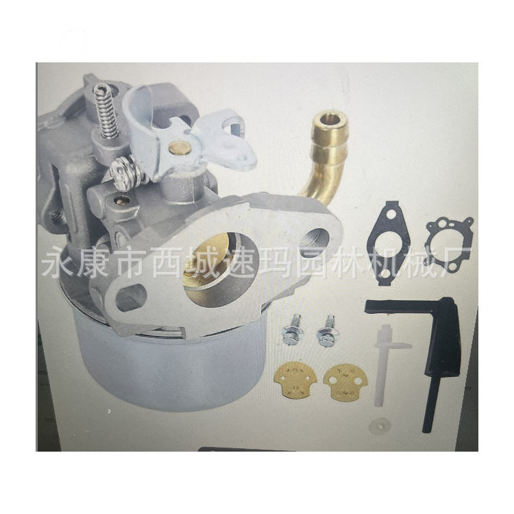 215369 Intek 190 Motor 850er Serie Vergaser 215434 214706t 215369 798
