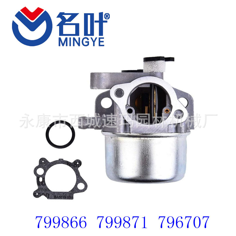 Mingye Vergaserhersteller 799866 Passend Für Briggs & Stratton 790845