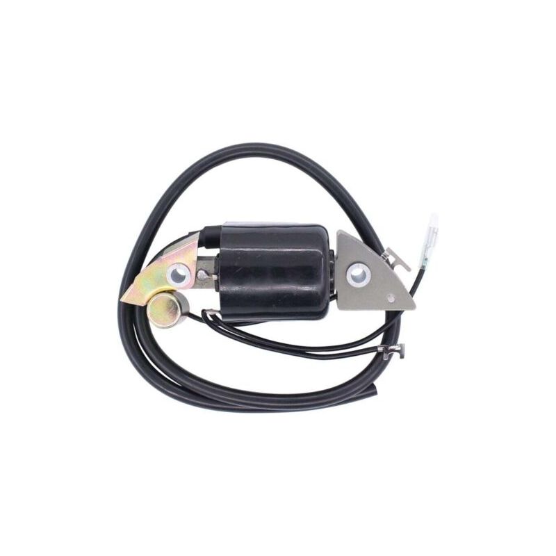 Pa Aiperq Zündspule Für Honda G150 G200 G300 G400 Motor 30500-887-303 30560-883-015