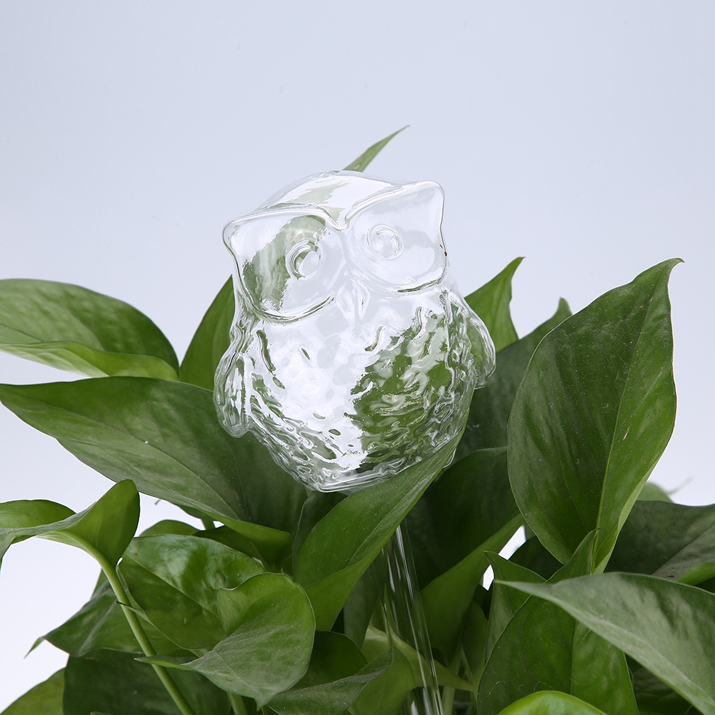 Automatische Bewässerungsanlage Für Zimmerpflanzen Und Blumen, Durchsichtiger Glas-wasserspender In Eulenform
