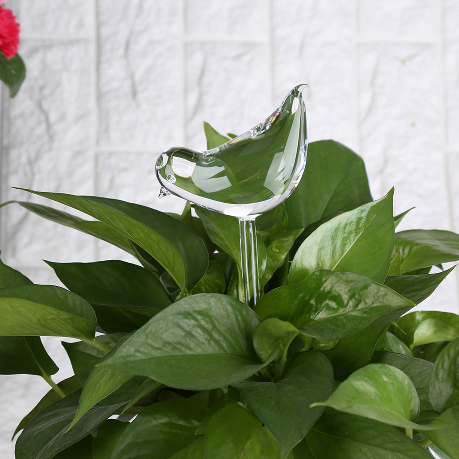 Automatische Bewässerungsanlage Für Zimmerpflanzen Und Blumen, Durchsichtiger Glas-wasserspender In Vogelform