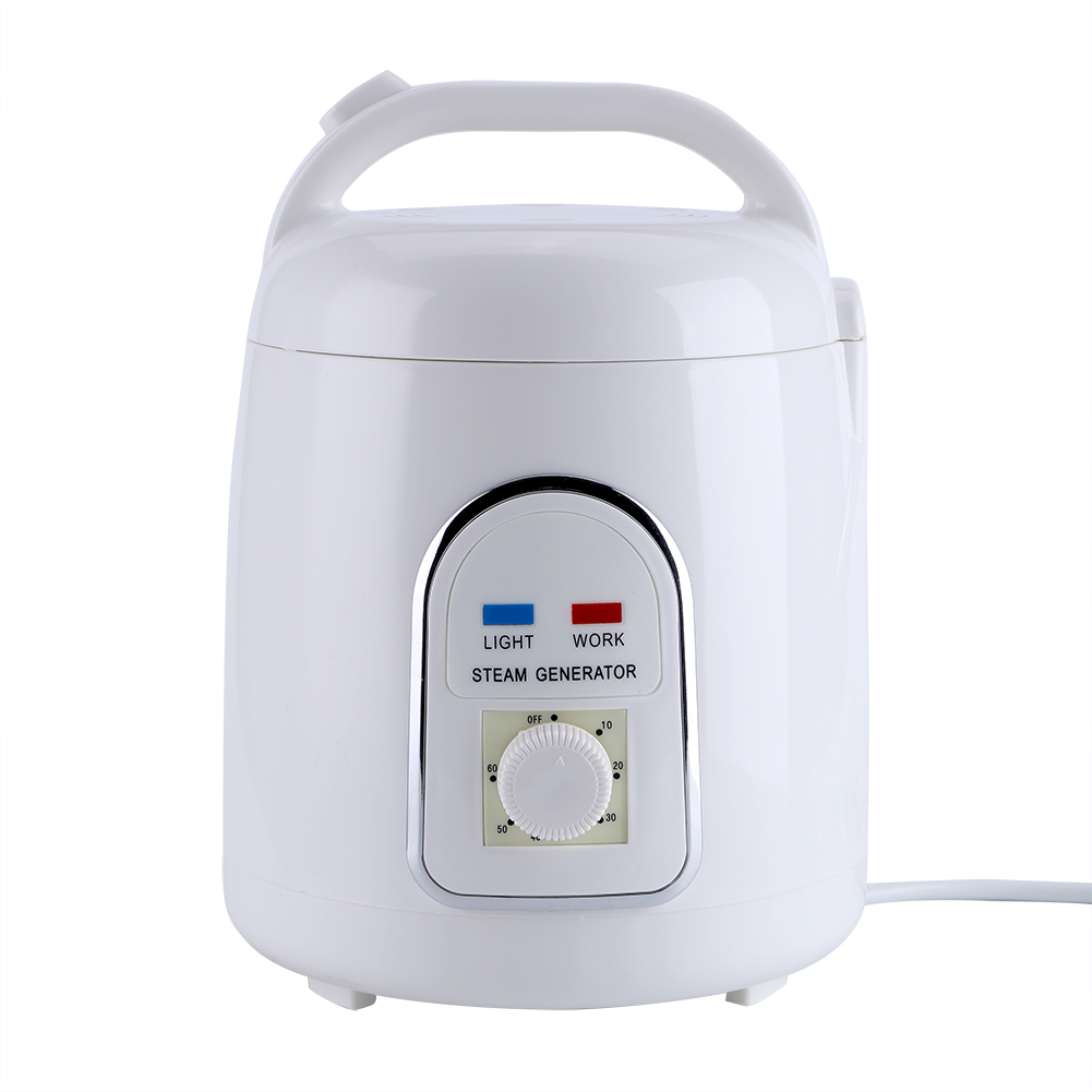 Tragbarer Dampfgenerator Für Zuhause (1,5–1,8 L) Mit 220-v-eu-stecker