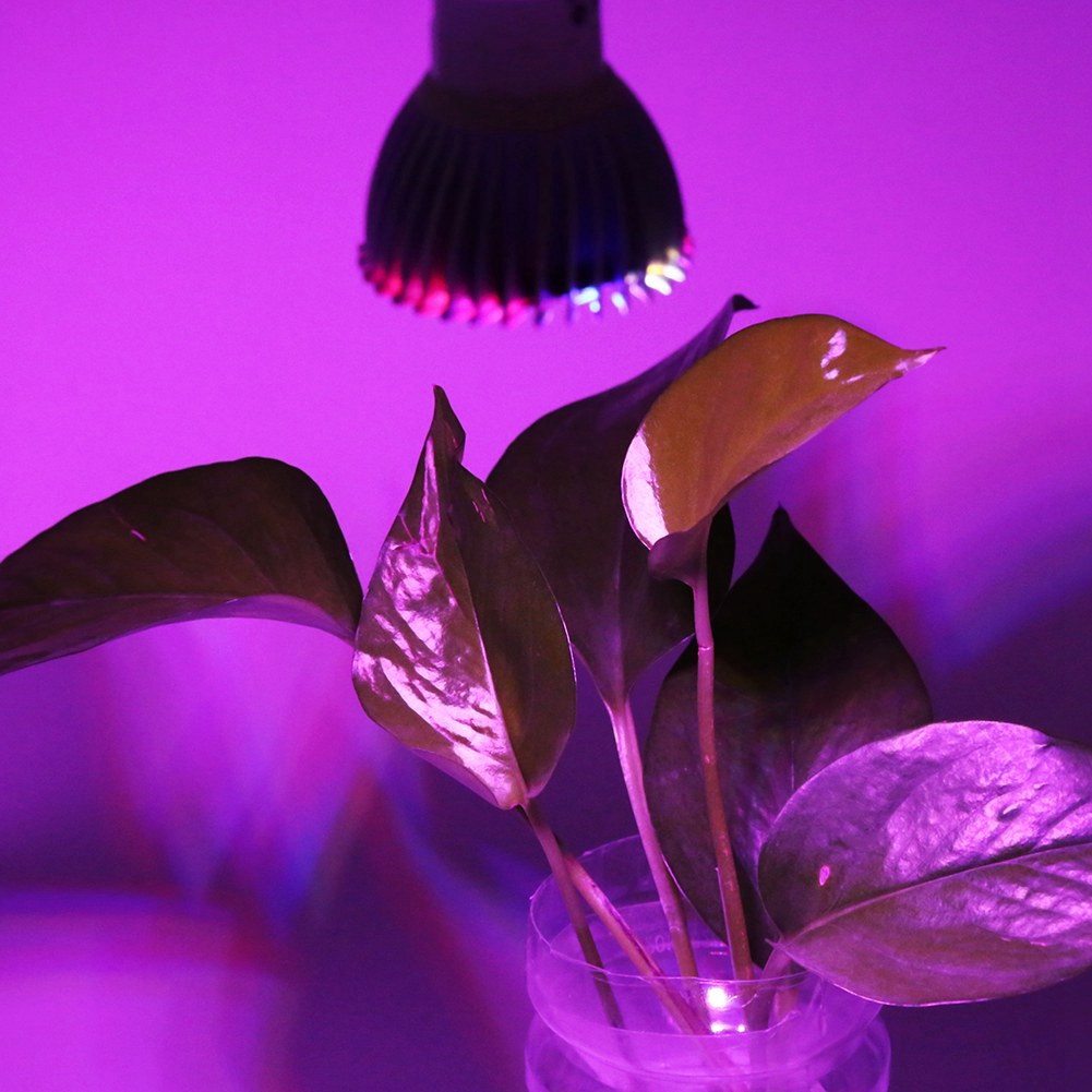 28w Vollspektrum Led-pflanzenlampe Für Blumen Und Pflanzen, 85v-265v, E14