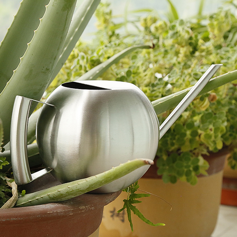 Gießkanne Aus Edelstahl, 1000 Ml, Lange Öffnung, Runder Sprühtopf Für Haus- Und Gartenpflanzen