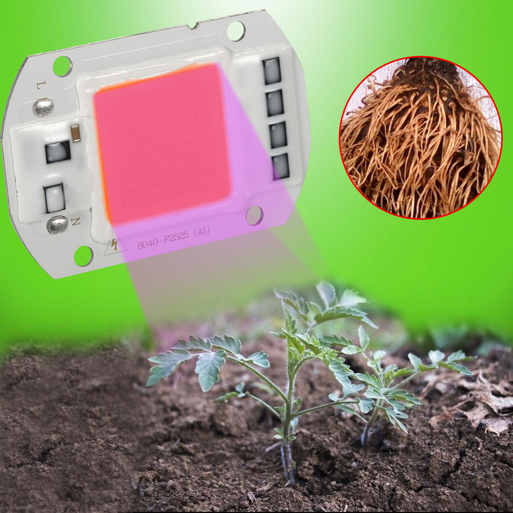 Stück 50w Vollspektrum Warmweiß/weiß Led Cob Chip Pflanzenlampe Für Garten Und Hydrokultur