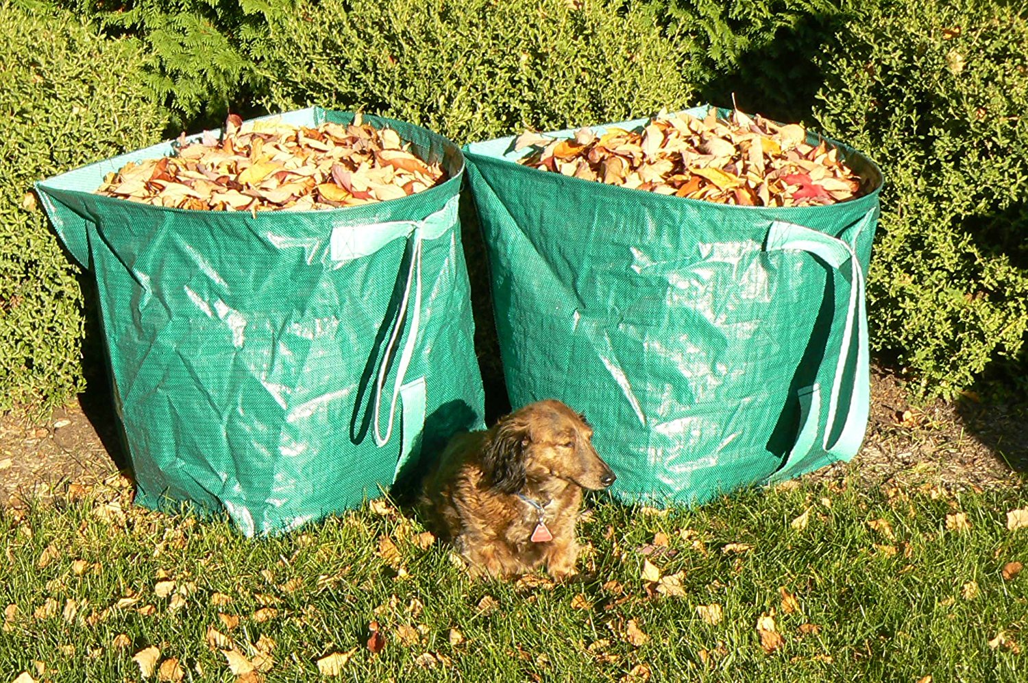 Wiederverwendbarer Gartenabfallsack, Robuster Gartenabfallsack Für Rasen, Pool Und Laub, 58 X 58 X 2 Cm