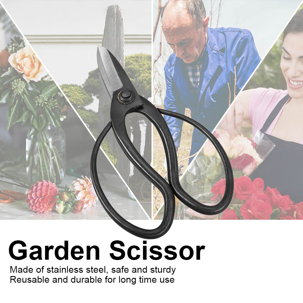 Robuste Und Langlebige Schere Aus Edelstahl Für Topfpflanzen, Blumen Und Den Garten