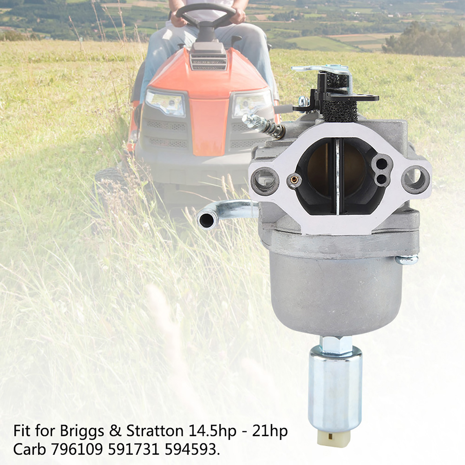 Vergaser Für 14,5 Ps – 21 Ps, Teilenummer 796109, 591731, 594593