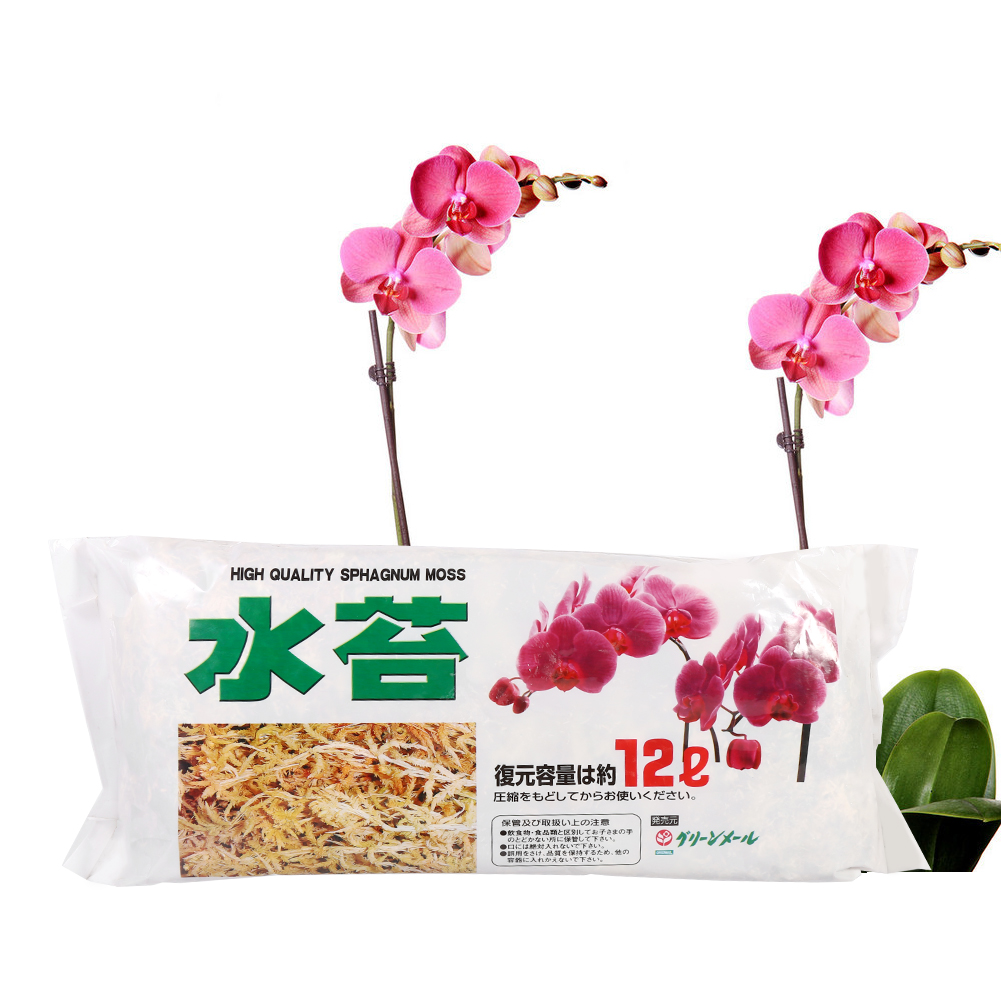 Gartenbedarf Sphagnummoos Feuchtigkeitsspendender Nährstoff Organischer Dünger Für Phalaenopsis-orchideen
