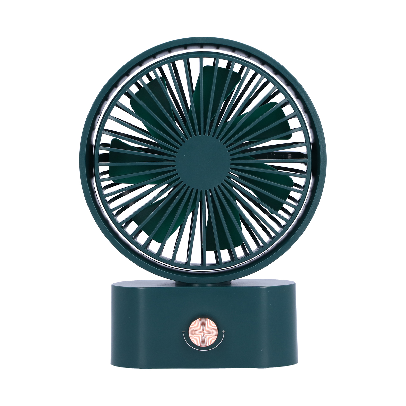 Tragbarer Elektrischer Ventilator Mit 270° Schwenkkopf, 10 Geschwindigkeitsstufen Und Usb-ladefunktion Für Den Schreibtisch (homegreen)