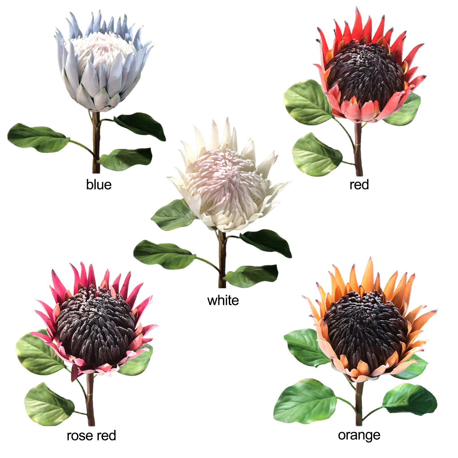 Künstliche Protea-blume, Beflockt, Fotorequisite, Heimdekoration, Kunstblume