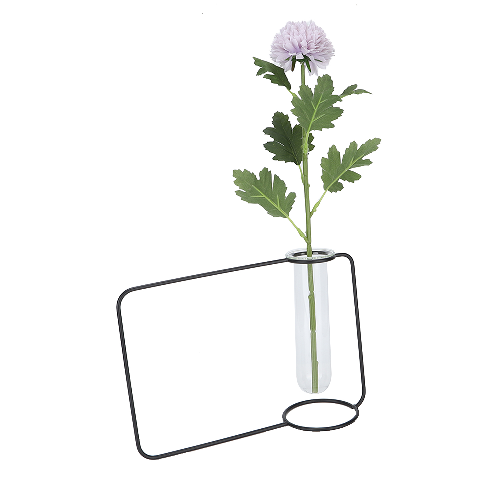 Innovativer Hängepflanztopf Im Reagenzglas-design, Transparent, Für Hydrokultur-pflanzen, Für Den Innenbereich, Schwarz