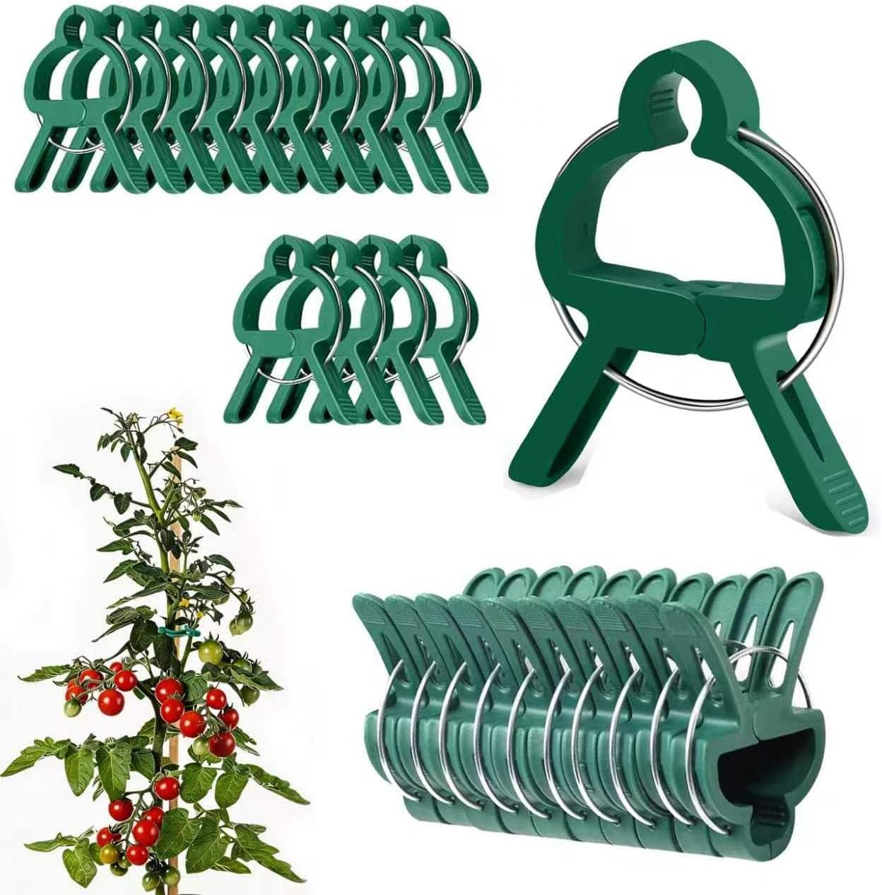Pflanzenclips – 100 Stück – Kunststoff Und Metall – Wiederverwendbar – Für Tomaten Und Blumen – Grün