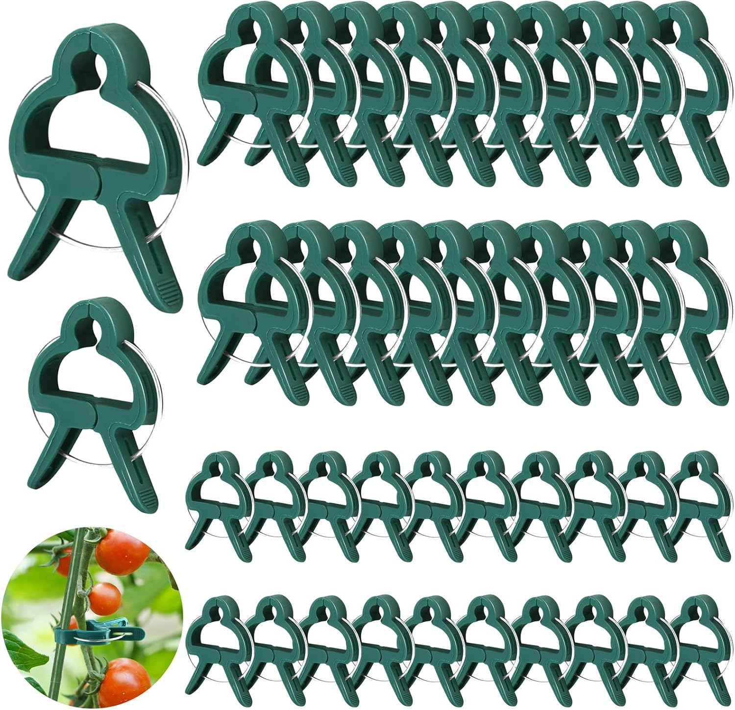 Pflanzenclips – 40 Stück – Kunststoff Und Metall – Wiederverwendbare Clips – Für Tomaten Und Blumen – Grün