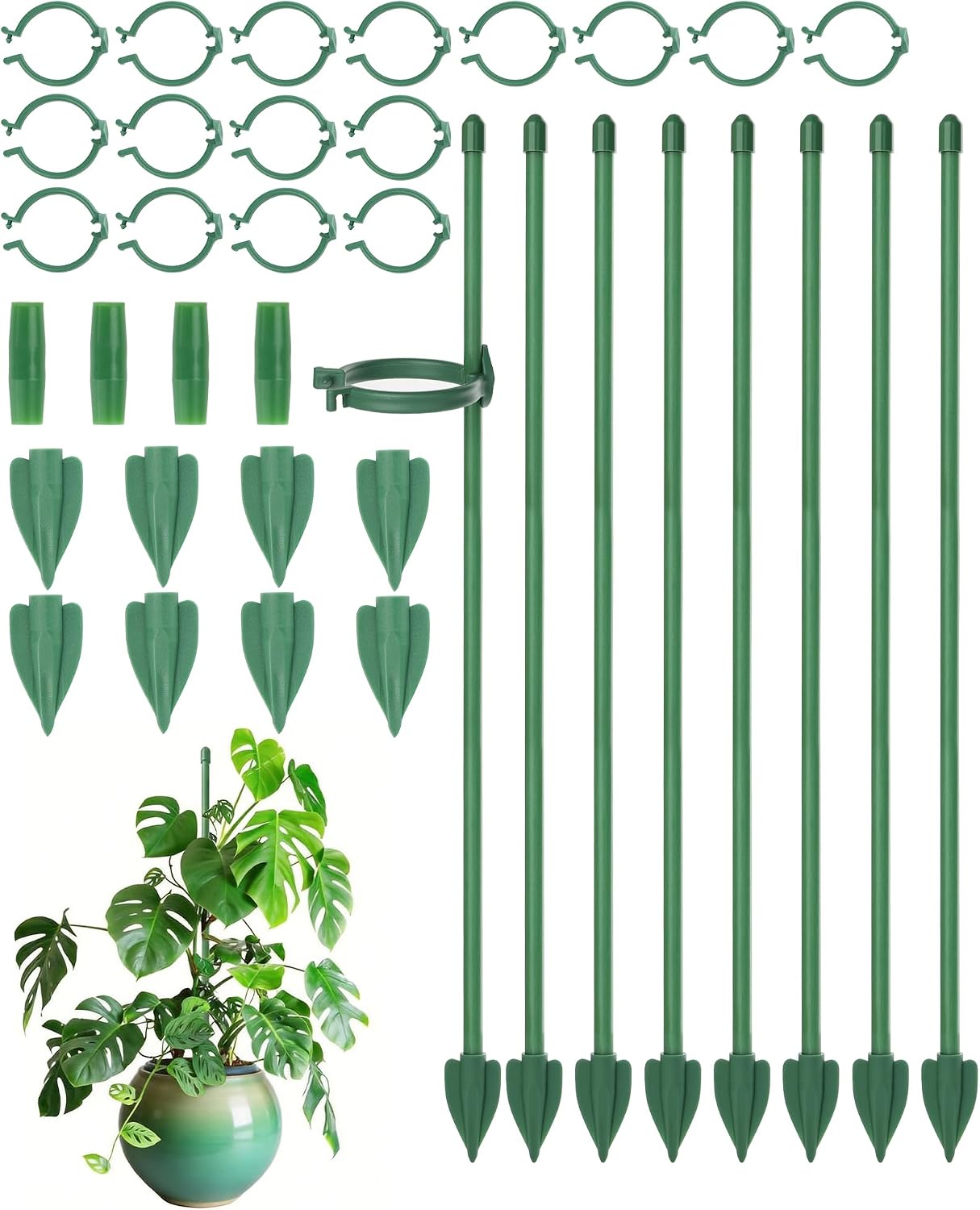 Pflanzenstütze – 8 Stück – Fiberglas – 30 Cm Stütze – Für Monstera Und Orchidee – Grün