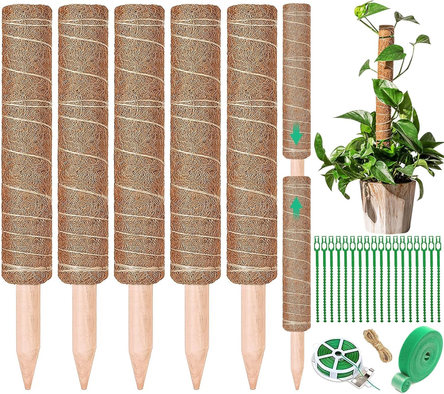 Pflanzenstütze – 5er-pack – Kokosfaser – Dehnbar Bis 160 Cm – Für Monstera Und Kletterpflanzen – 42 Cm