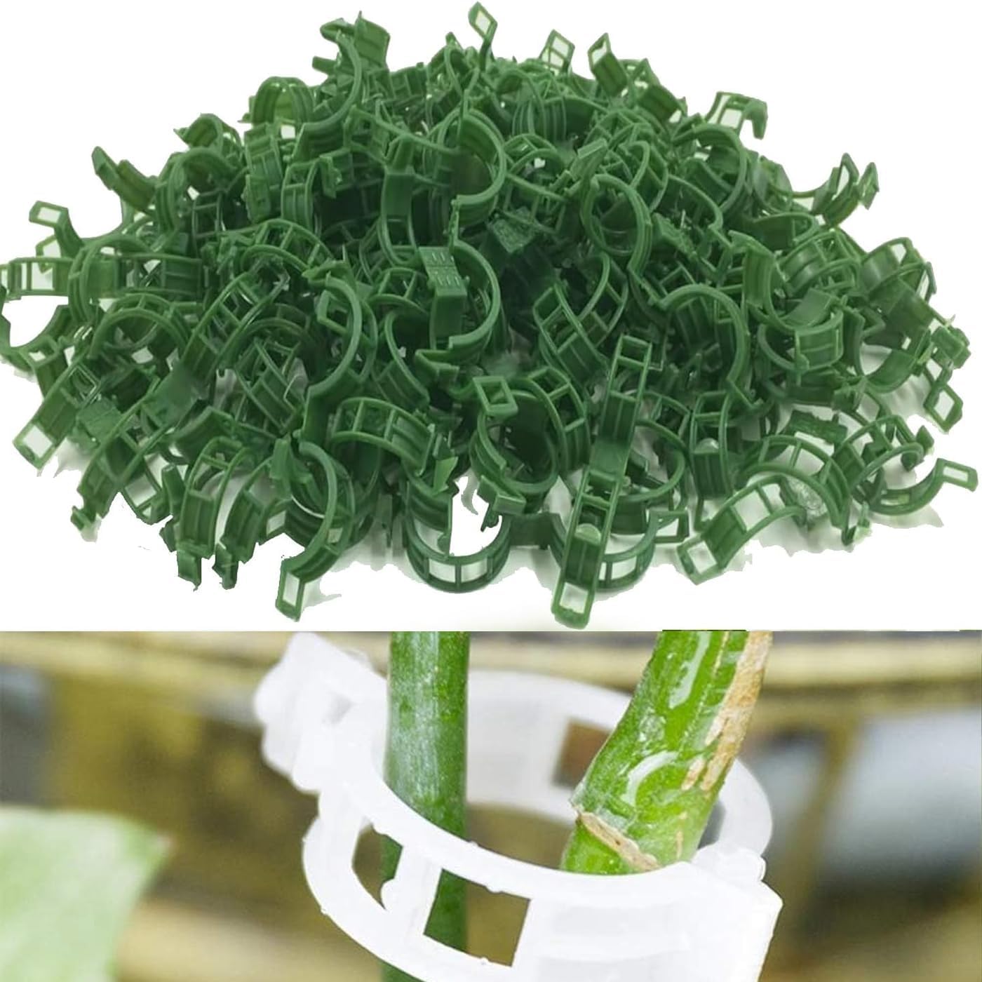 Pflanzenstützclips – 100 Stück – Pp-kunststoff – Tomaten- Und Kletterpflanzenstützen – Gemüsegarten – 25 Mm