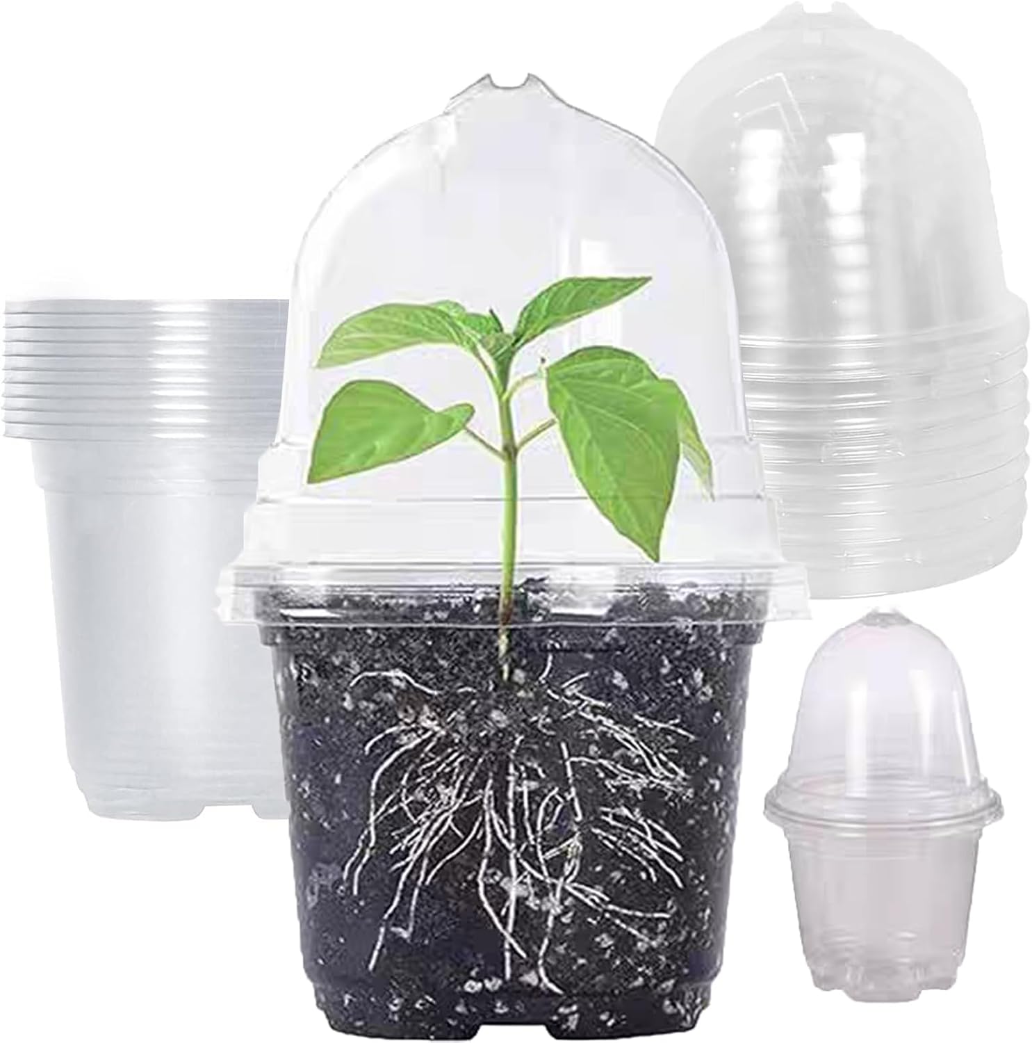 10 Anzuchttöpfe Mit Abdeckung – Transparenter Kunststoff – Kontrollierte Luftfeuchtigkeit – Für Sämlinge Und Stecklinge – Indoor-garten Und Gewächshaus – 9 Cm