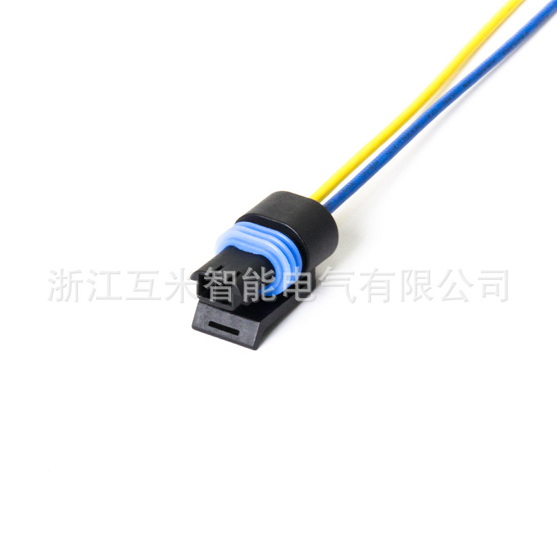 2-poliger Wasserdichter Kfz-steckverbinder 12162193 Wassertemperatursensor-stecker Dj7022y-1.5-21