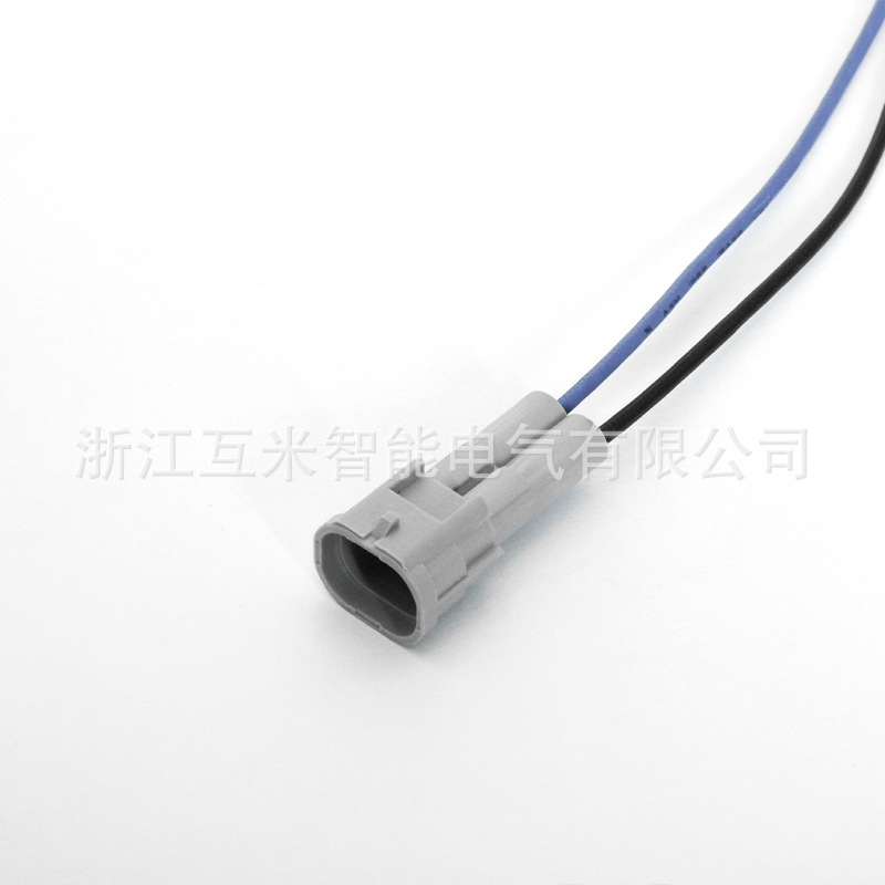 Dj7024y-2-11/216189-0060 Ist Ein Methanol-umrüststecker Für Kraftstoffeinspritzdüsen.