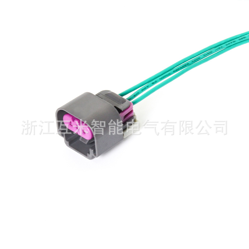 Delphi 13511132 Ist Geeignet Für Kfz-kraftstoffsensoren Und Kraftstoffpumpenstecker (dj70331-1.5-21).