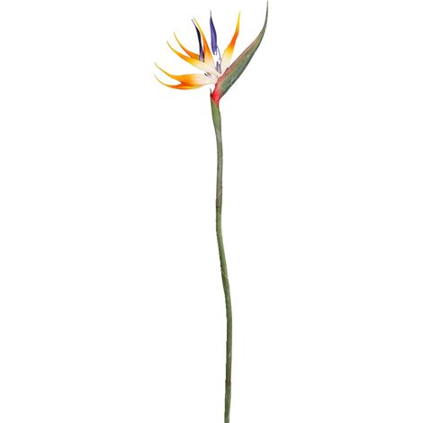 Paradiesvogelblume, Authentische Grünpflanzen Für Zuhause, Garten, Büro, Hochzeitsdekorationen (220318xy03-1)